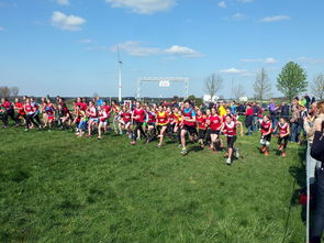 Leyu Sport下载-全国青少年劳动体育竞赛各项赛事激烈进行，全国青少年劳动体育竞赛各项赛事激烈进行的原因