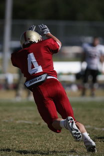 APP下载 LY Sports-英超球队防守阵型转换对比赛控球率的影响分析，英超攻防转换